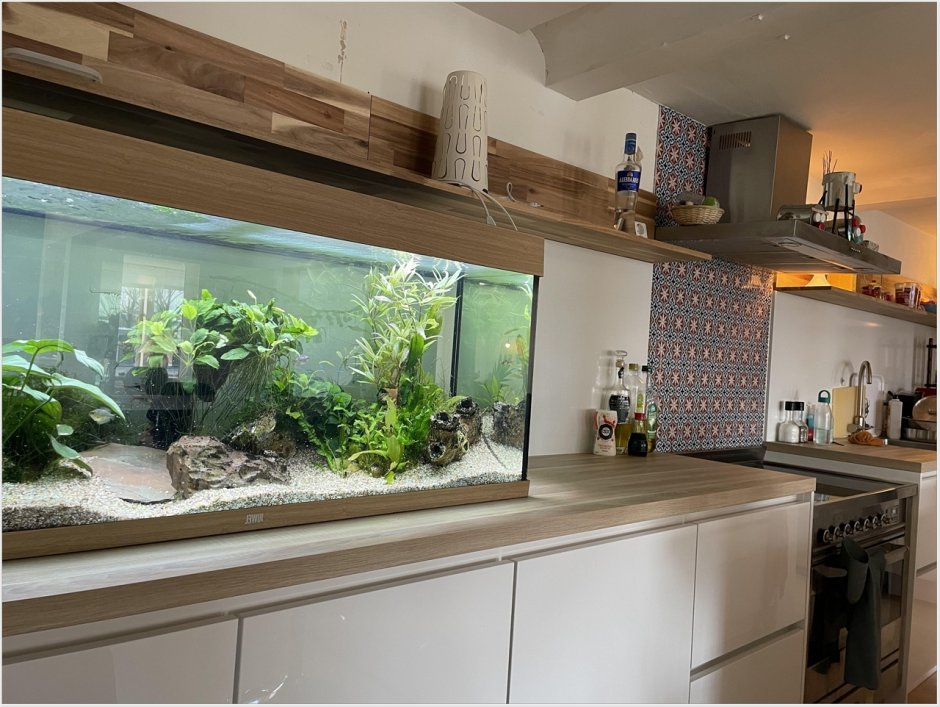 Маленький аквариум на кухне