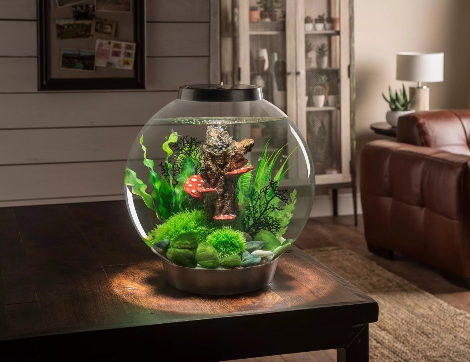 Красивые и интересные маленькие аквариумы для квартиры