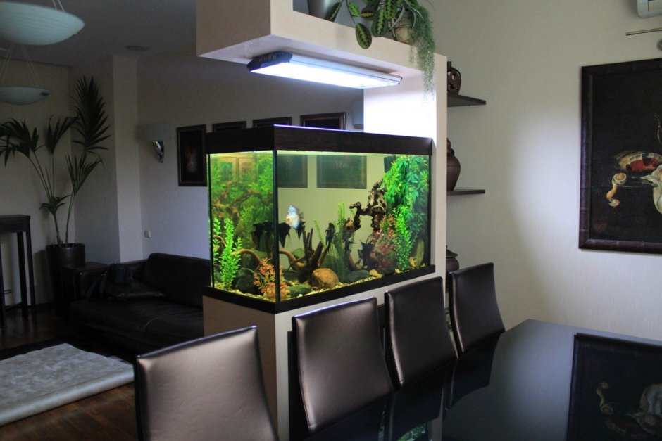 Кухня аквариум в стене (69 фото)