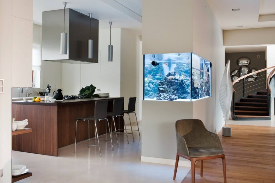 Встроенные аквариумы в стену