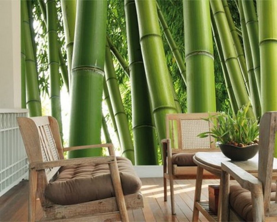 Панели бамбук в интерьере