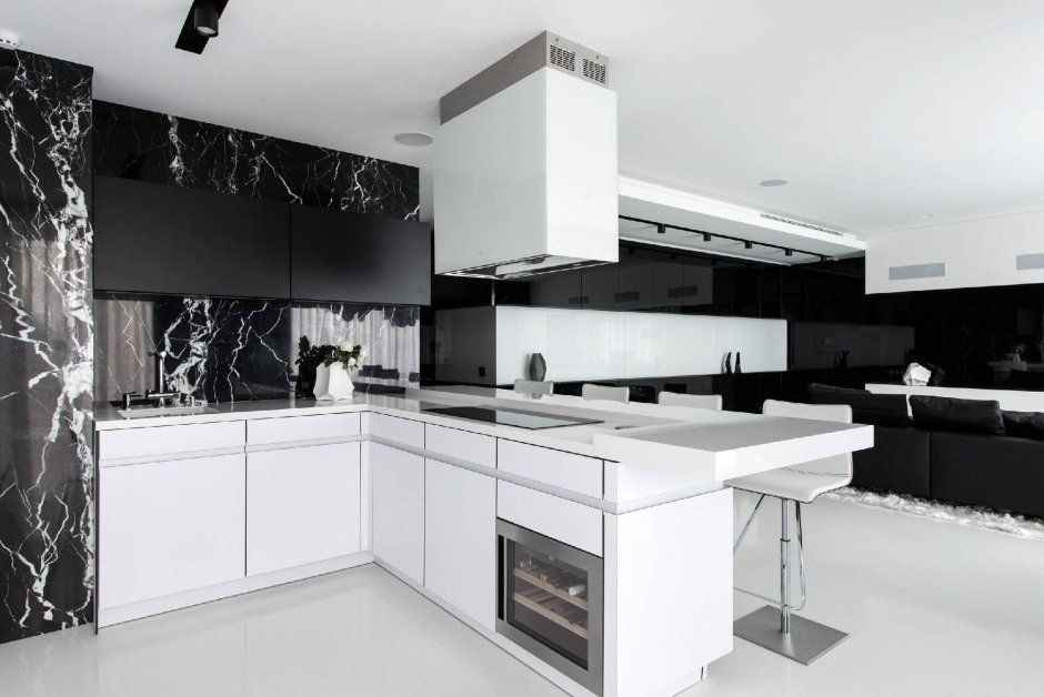 Маленькая кухня в черно белом цвете (63 фото)