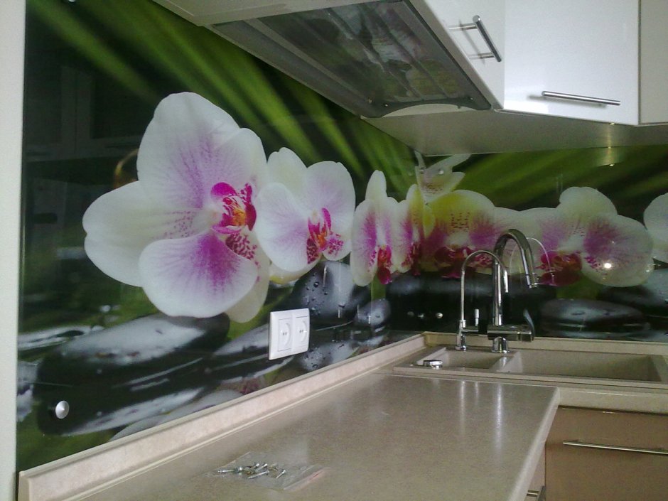 Фартук для кухни Орхидея бежевый