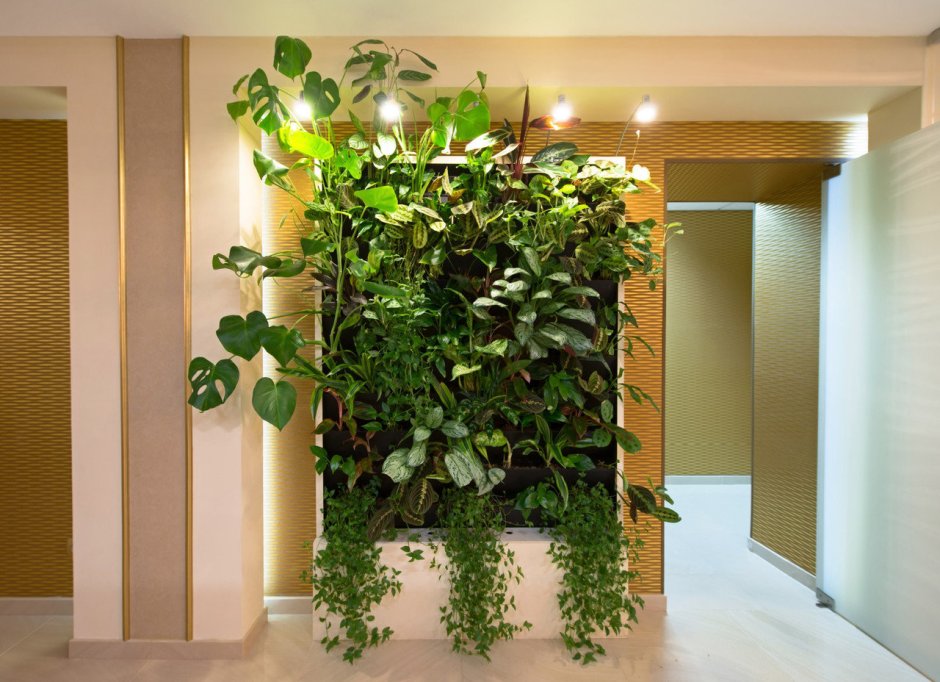 Вертикальное Озеленение в комнате