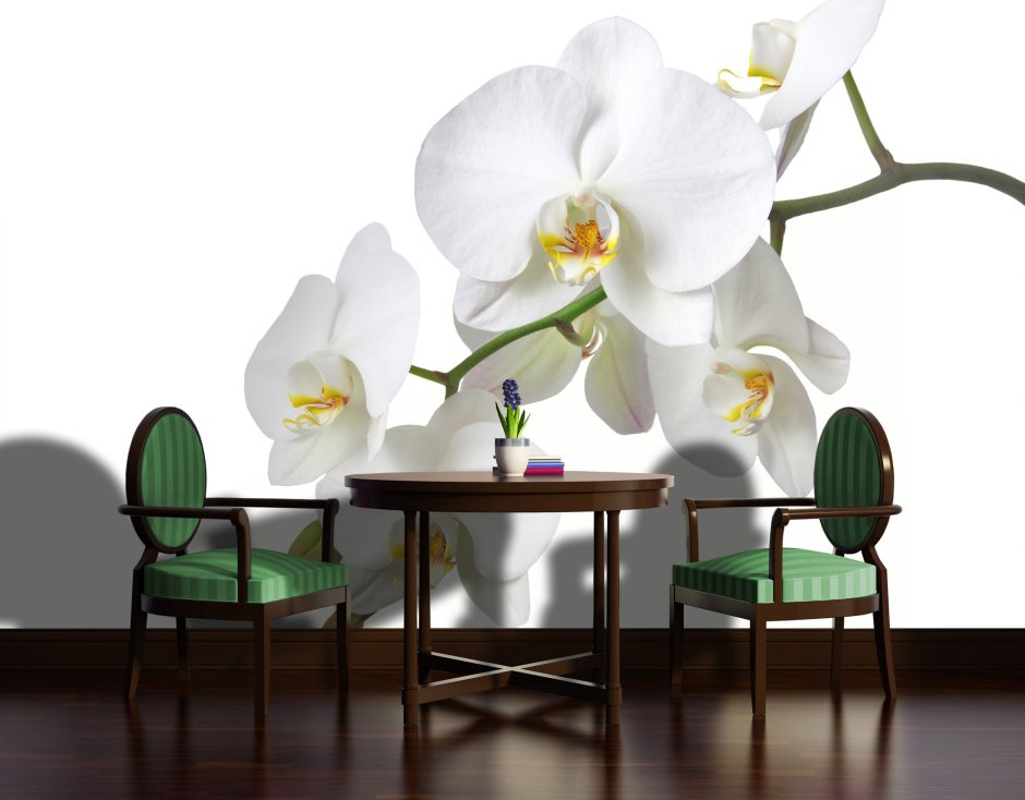 Обои кирпичики с орхидеями