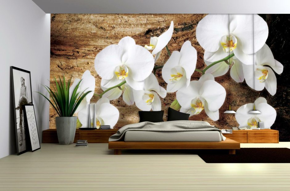 Черно белая кухня с орхидеями