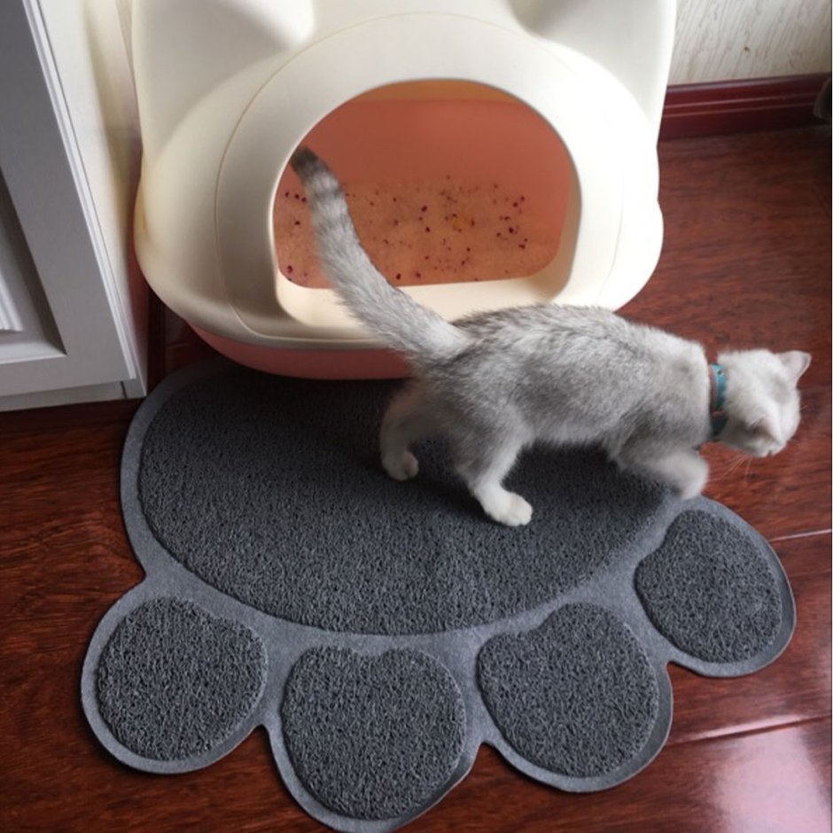 Миска для кота