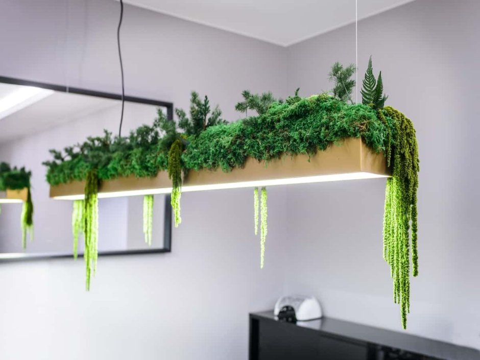 Живая стена из растений