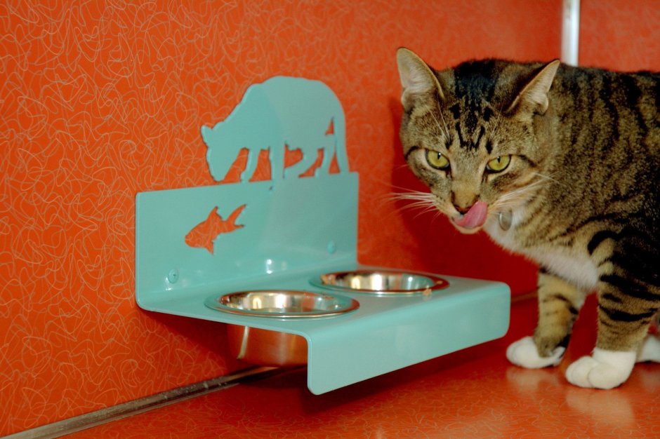 Миски для кошки на кухне