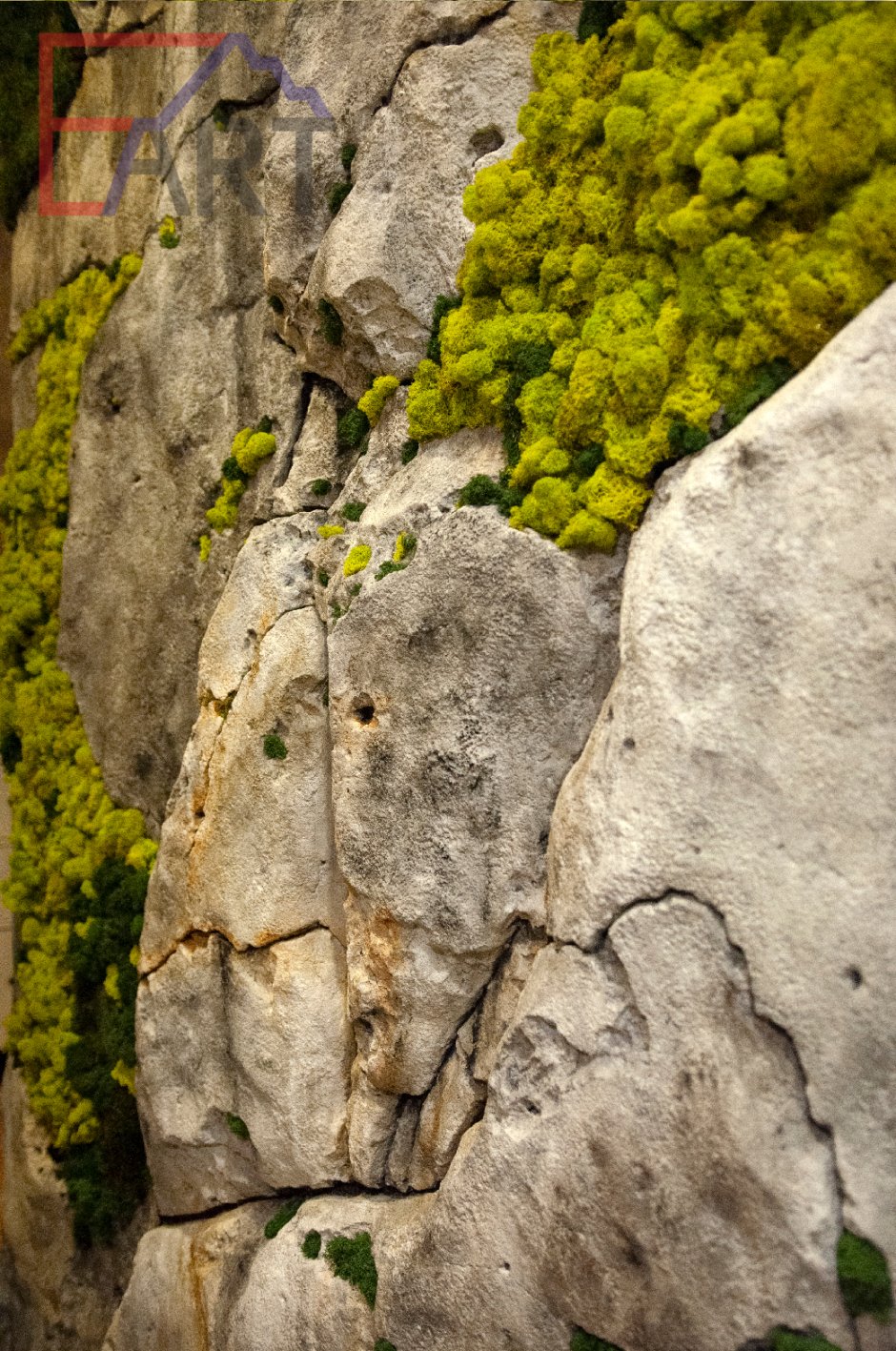 Цветы в скале на стене в интерьере