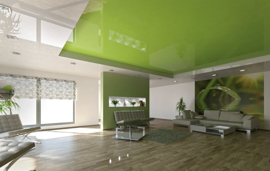Зеленый потолок на кухне (86 фото)