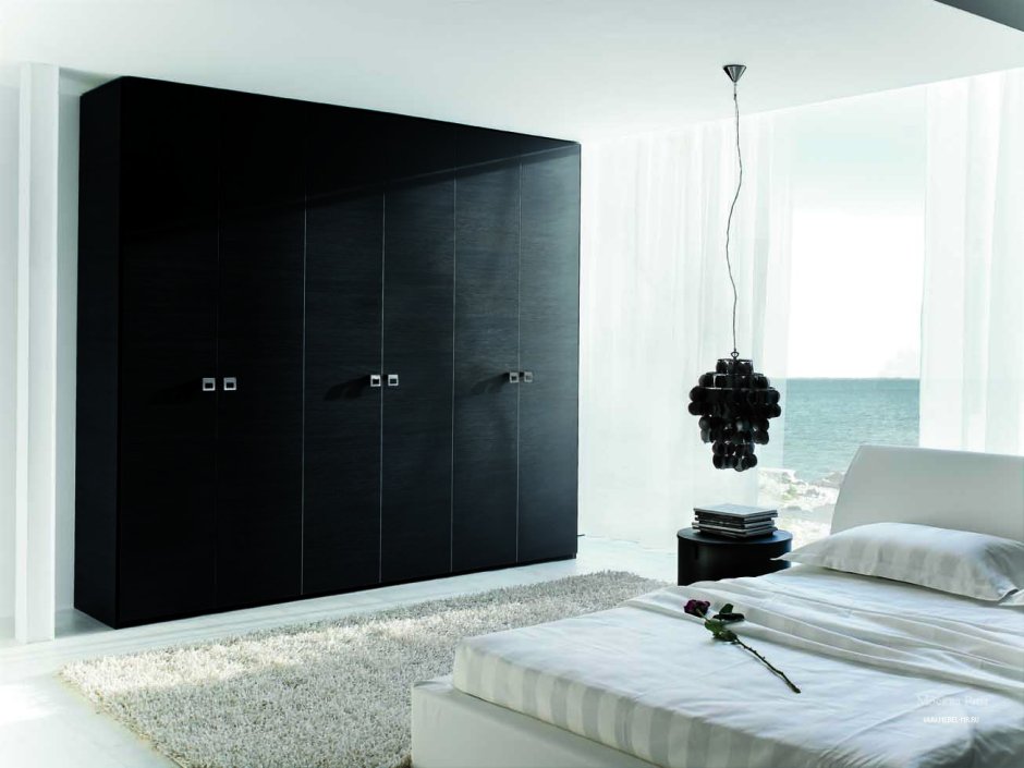 Современные шкафы из черного белого серого цвета