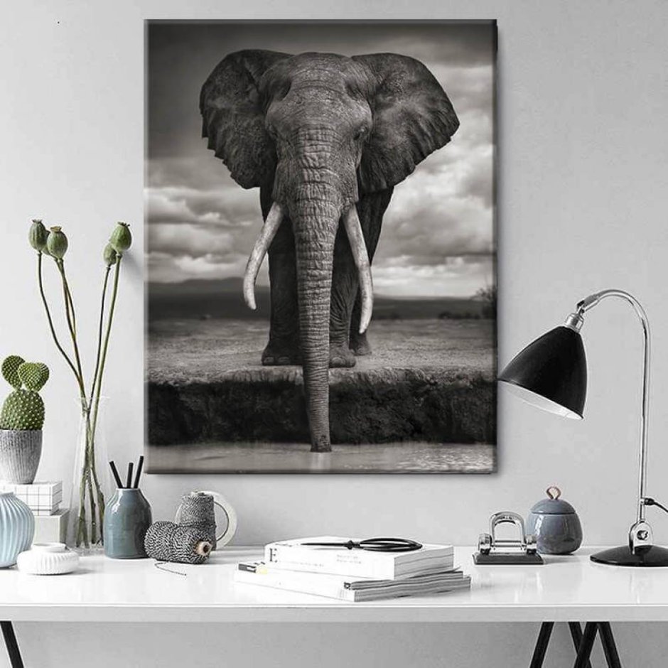 Картина слон на холсте в интерьере