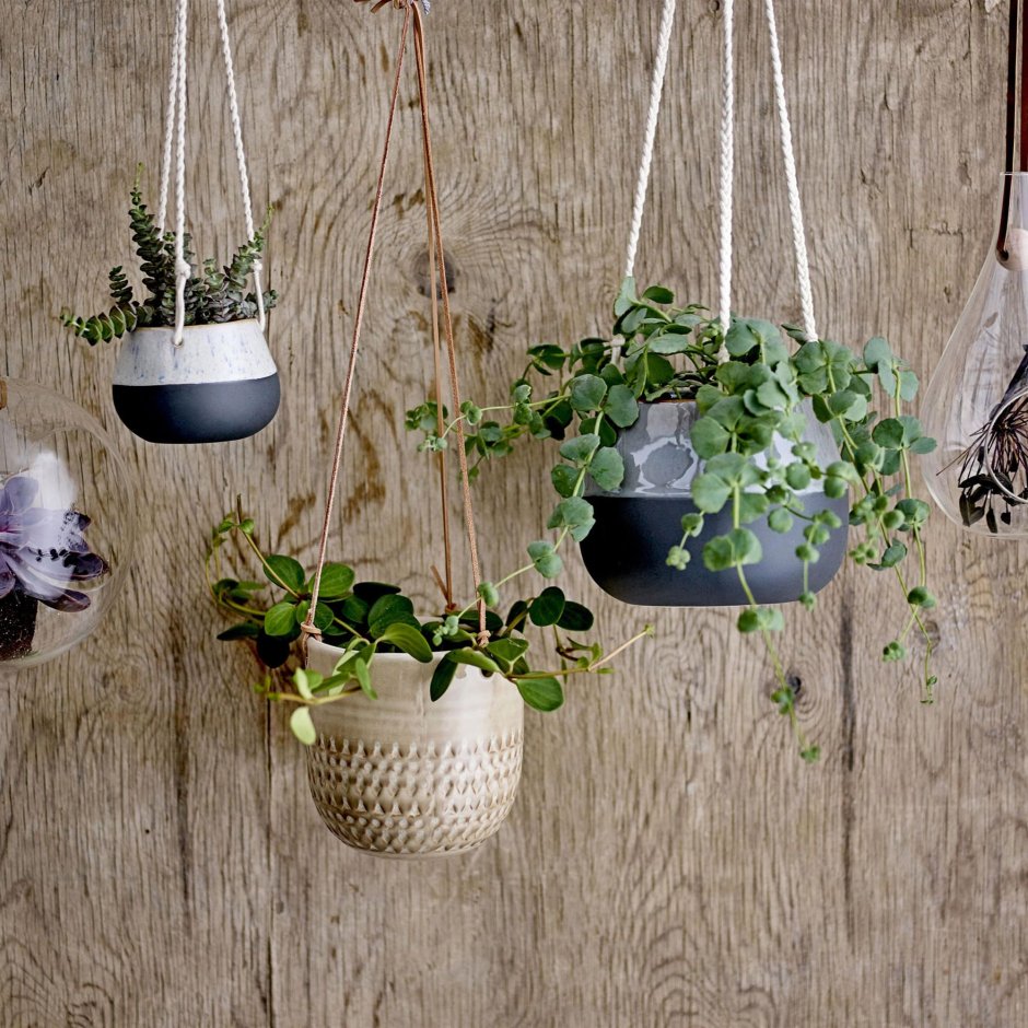 Modern Hanging Planters