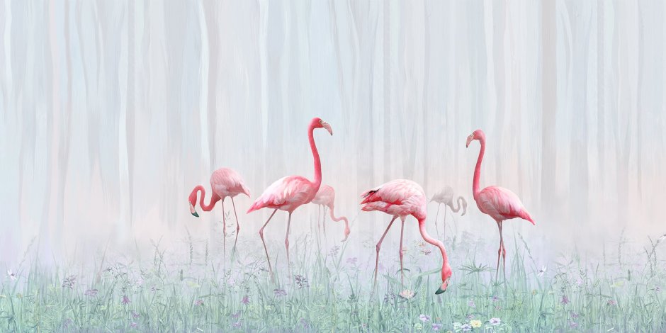 Фотообои розовый Фламинго