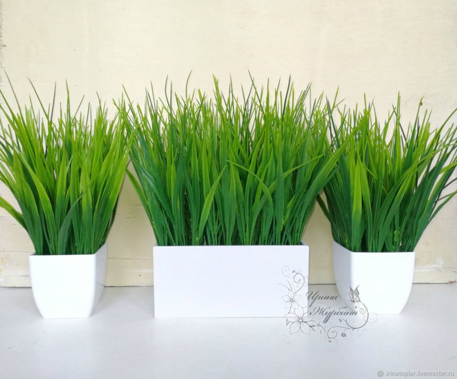 Декоративная трава для интерьера