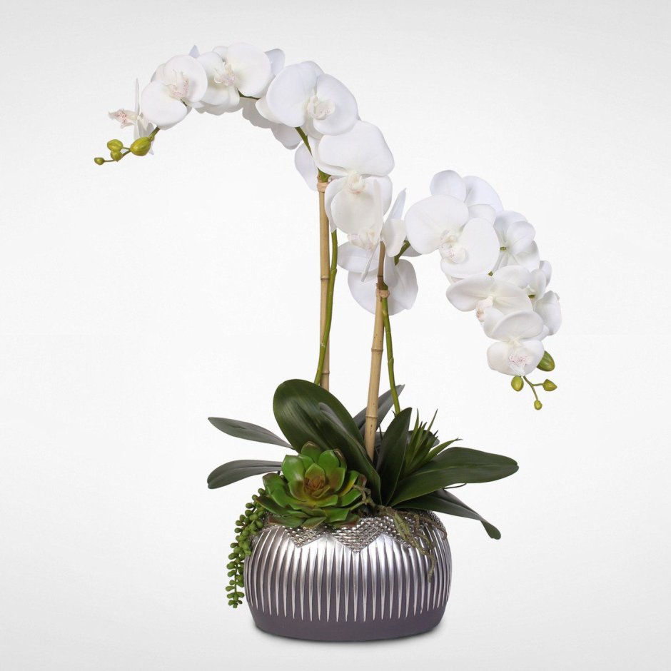 Потолочный композиции из белых искусственных орхидей