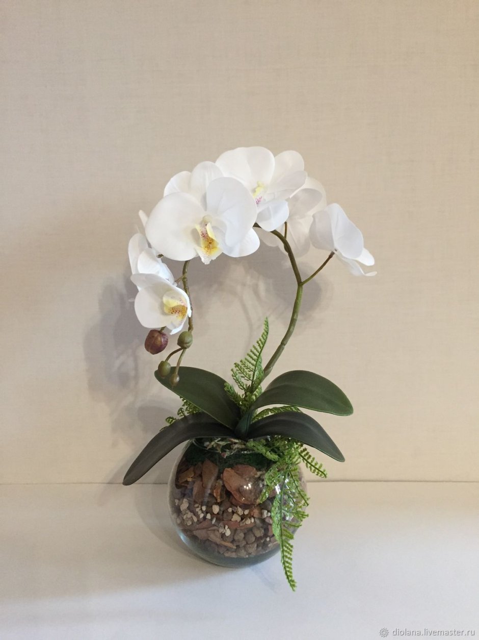 Орхидеи в прозрачных вазах