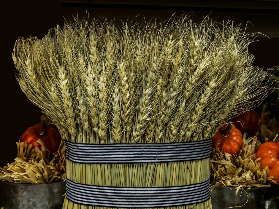 Ваза с колосками пшеницы в интерьере
