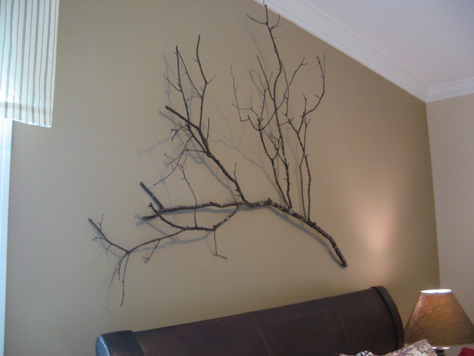 Ветка дерева на стене