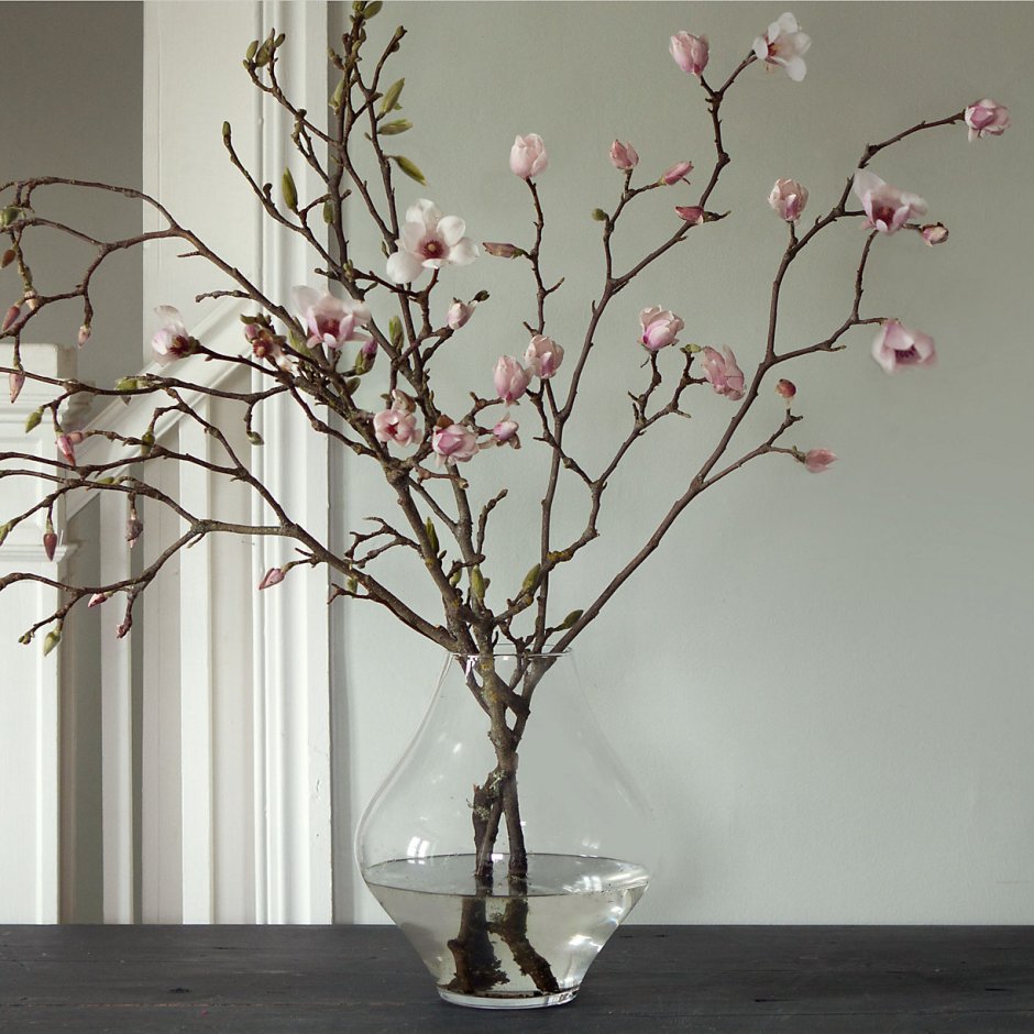 Magnolia Interiors