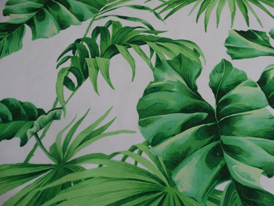 Alfresco Palm Leaf Wallpaper White Green Jungle Tropical