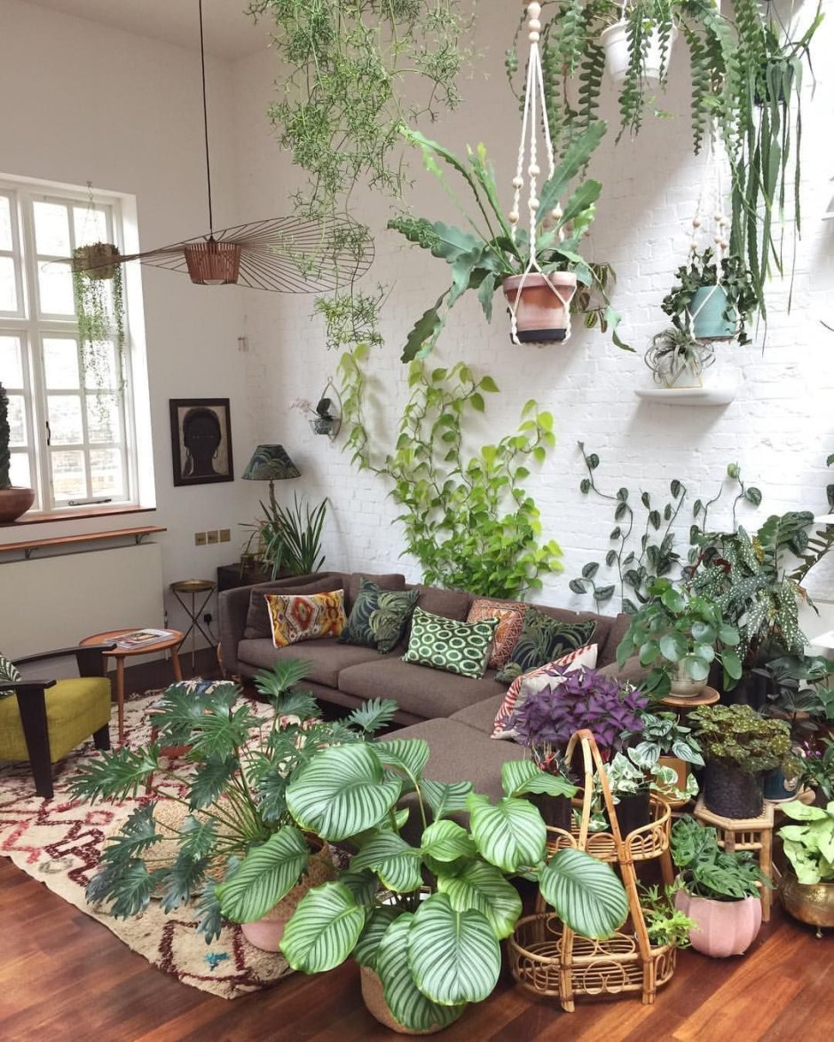 Гостиная с растениями