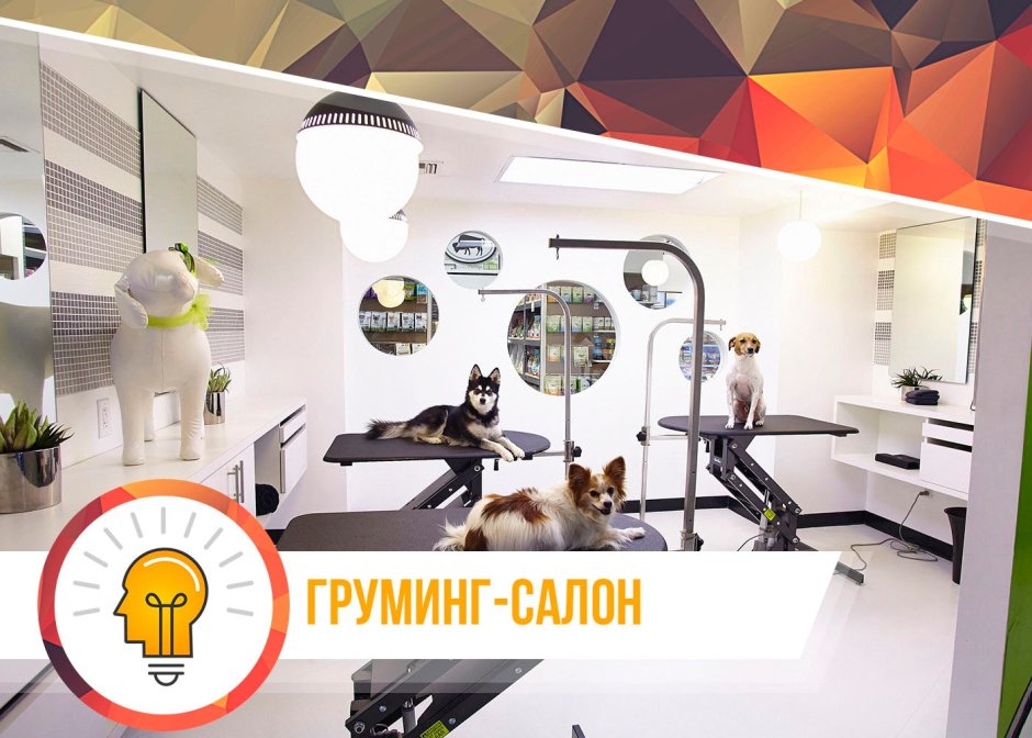 План груминг салона