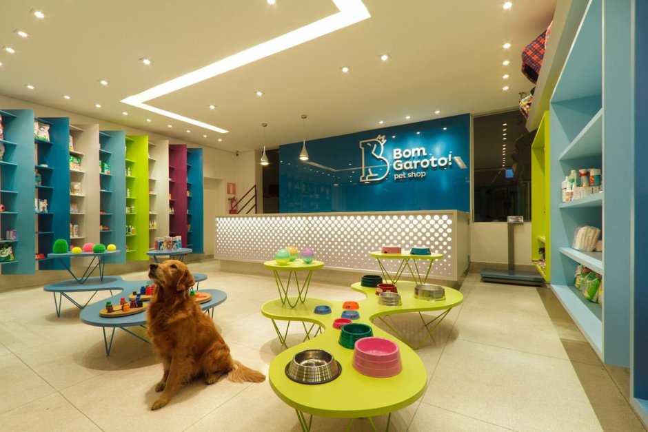 Груминг салон barberdog, Мурманск панорама