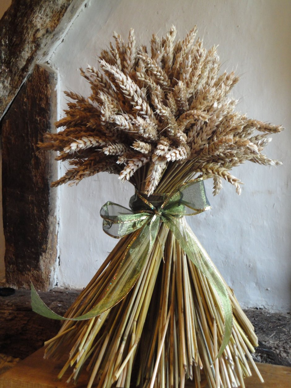 Pampas grass декор