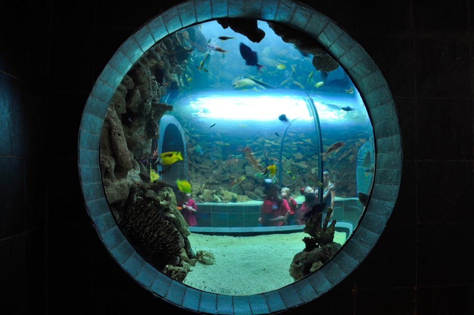 Элитные аквариумы