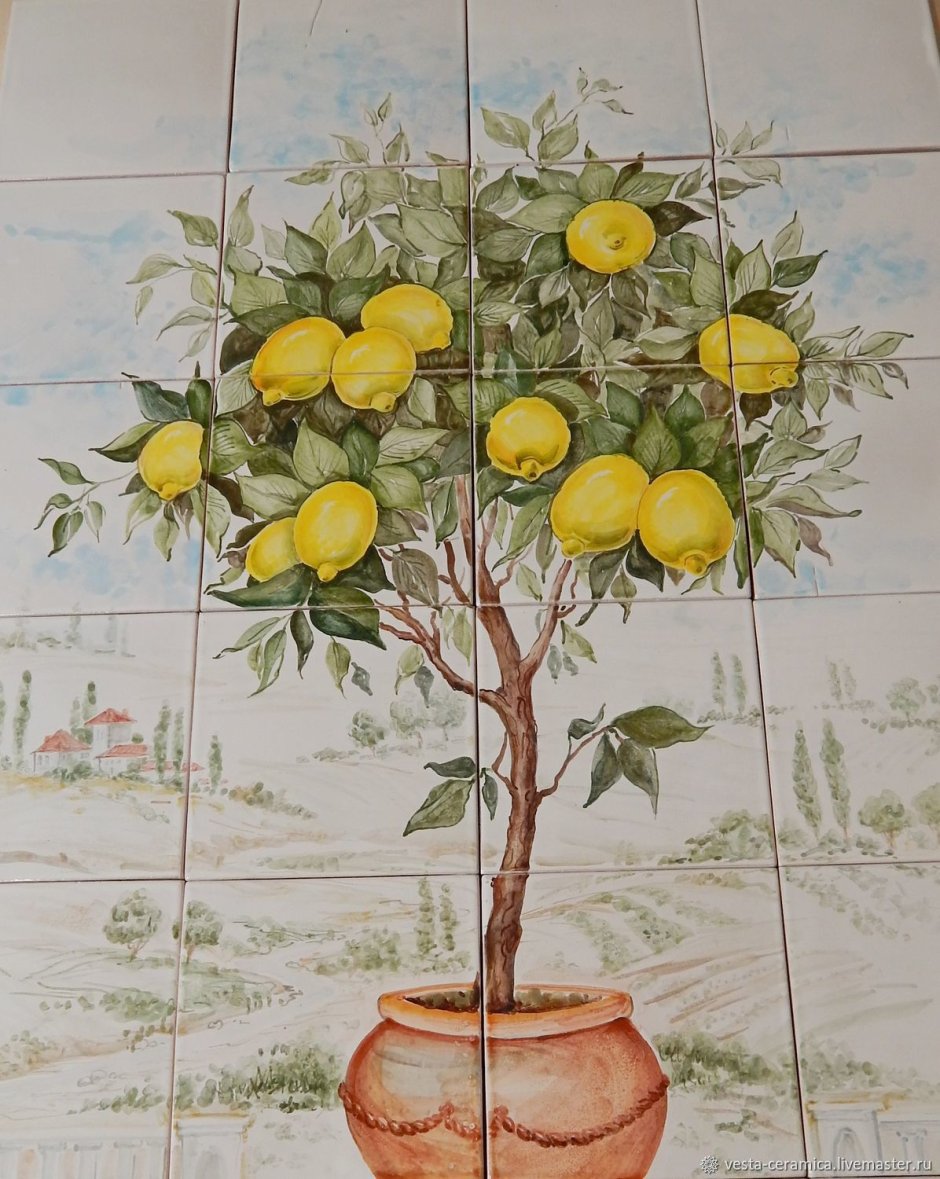 Лимонное дерево комнатное растение