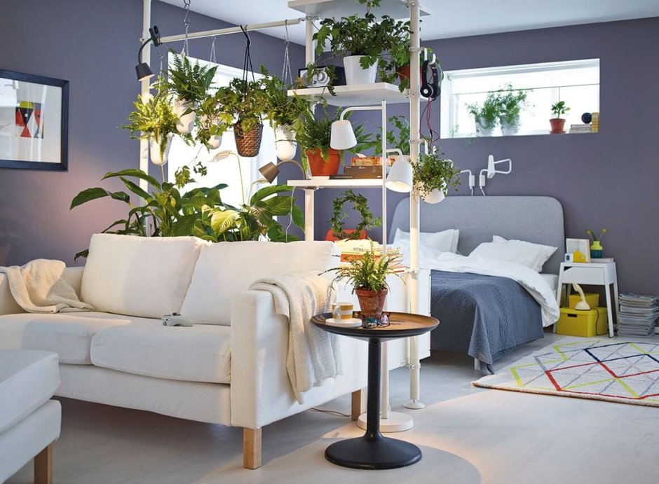 Зонирование комнаты комнатными растениями