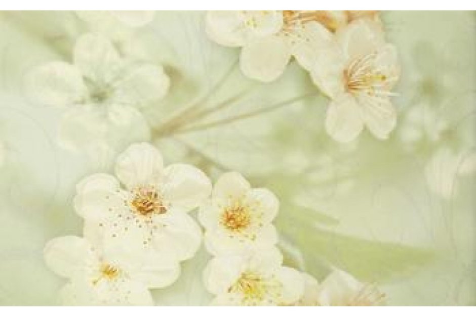 Плитка Cerrol City Orchid Польша