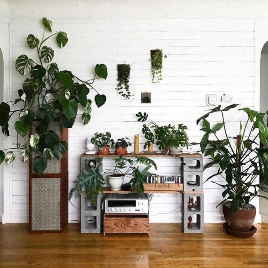 Декор комнатными растениями жилых помещений