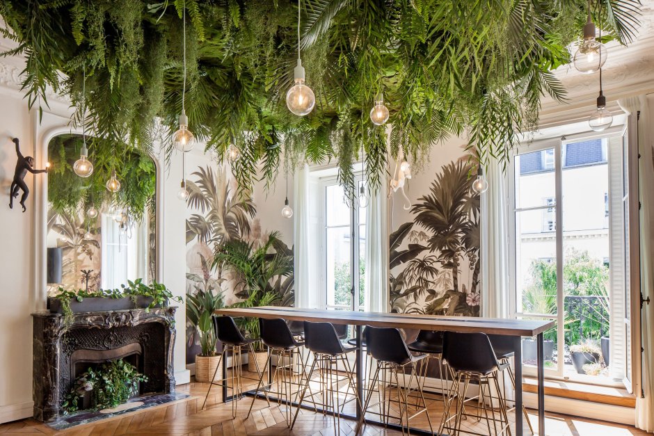 Уютная комната с растениями