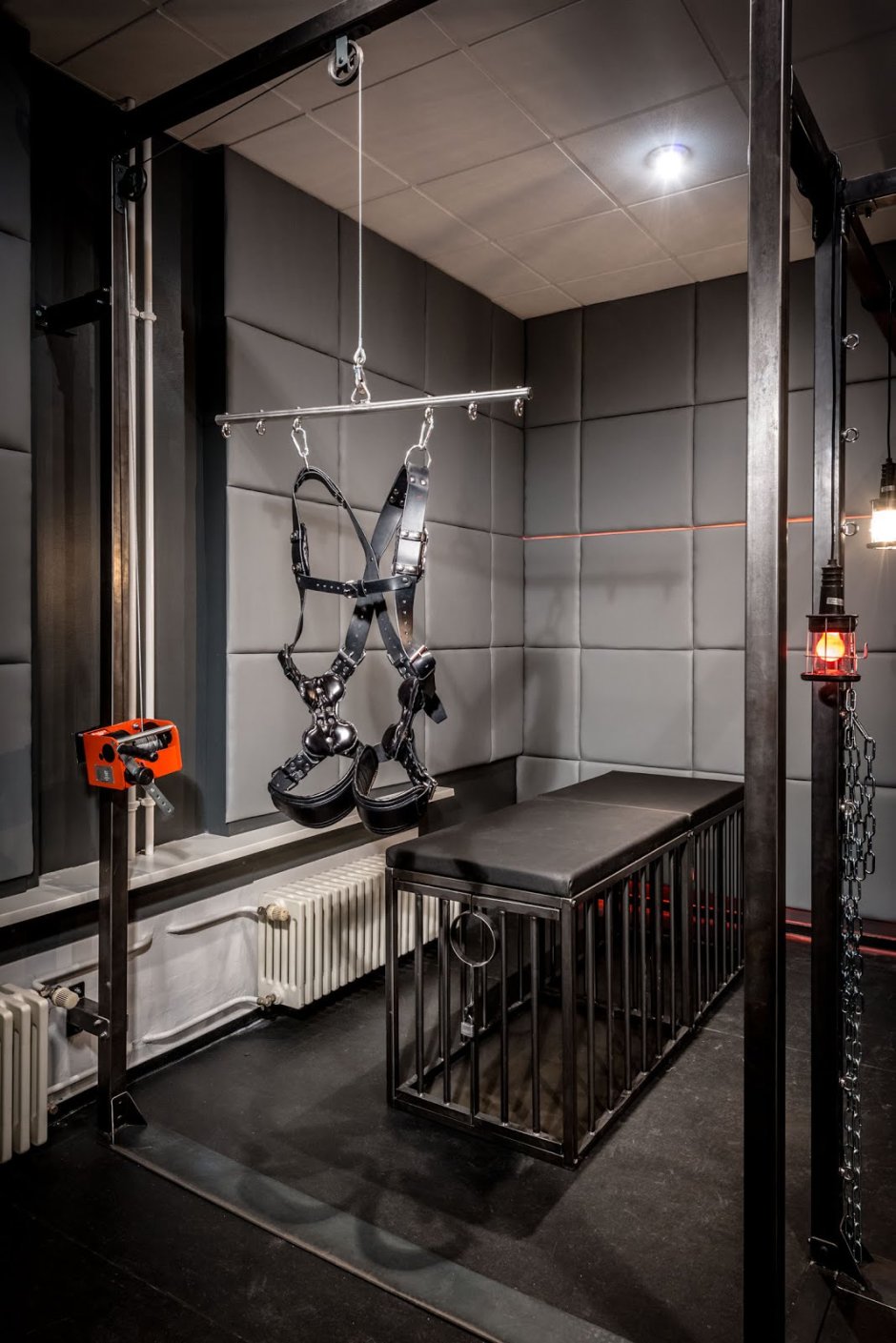 Сова 54 Новосибирск