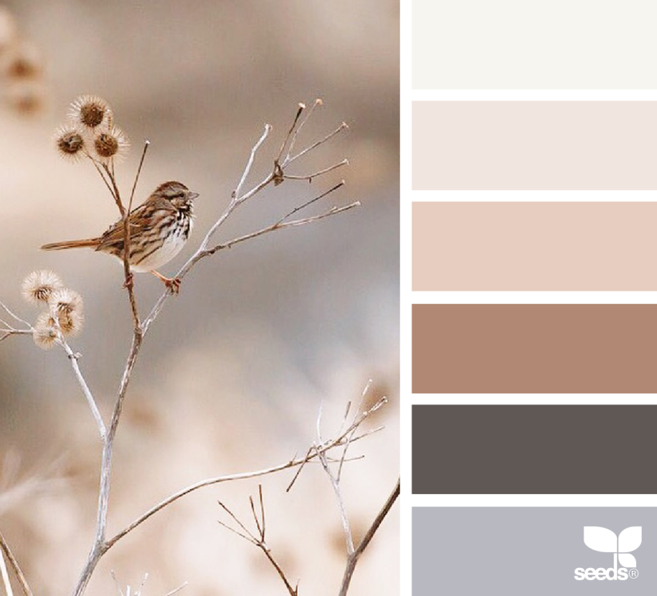 Краска Dulux в интерьере