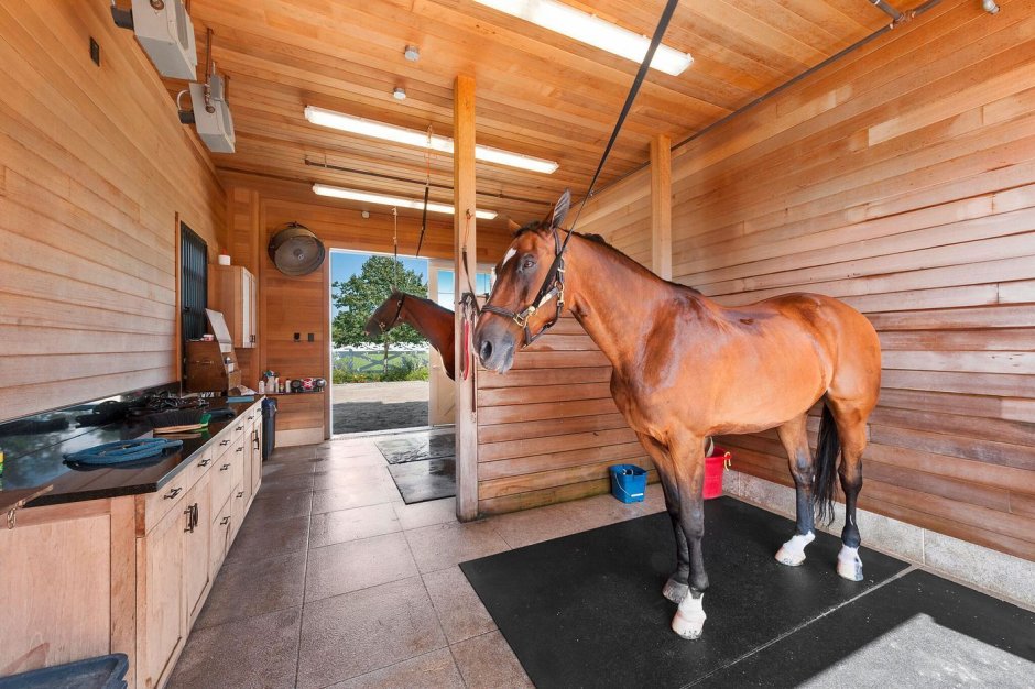 Конюшня Лос-Анджелес