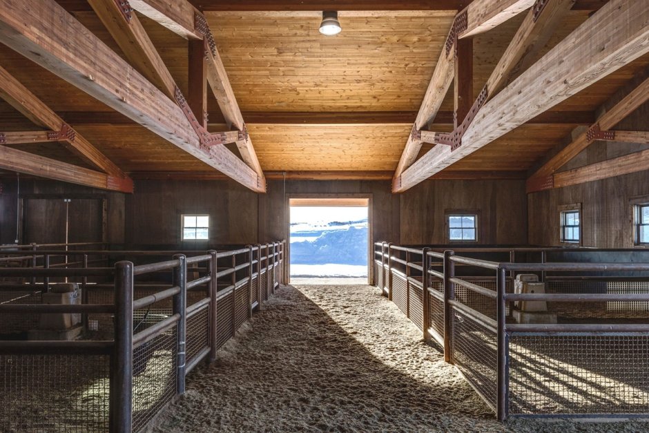 Ранчо конюшня США