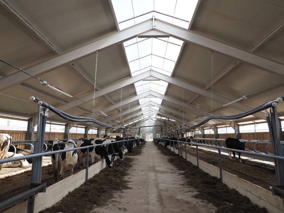 Рико-Агро Увинский район