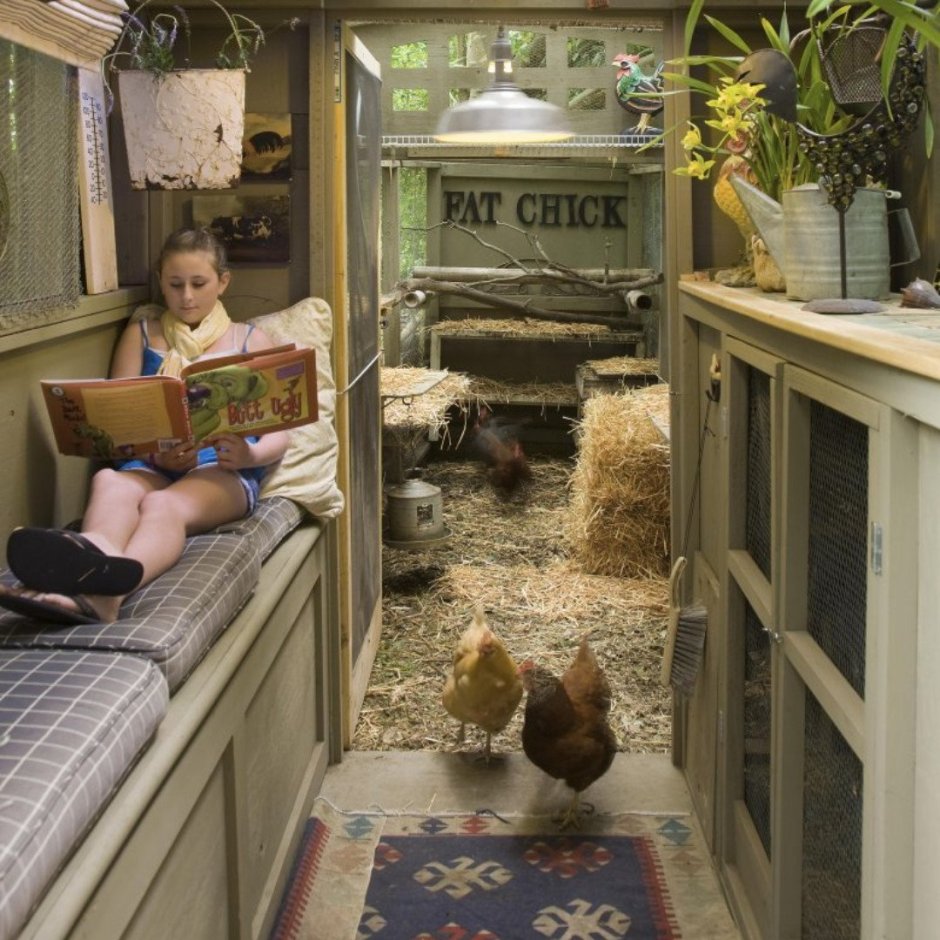 Дизайнерский курятник