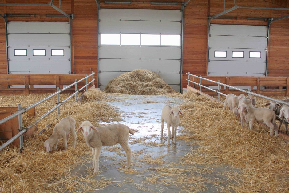 Farm together дом