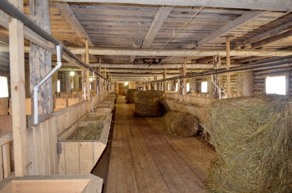 Открытая ферма в доме