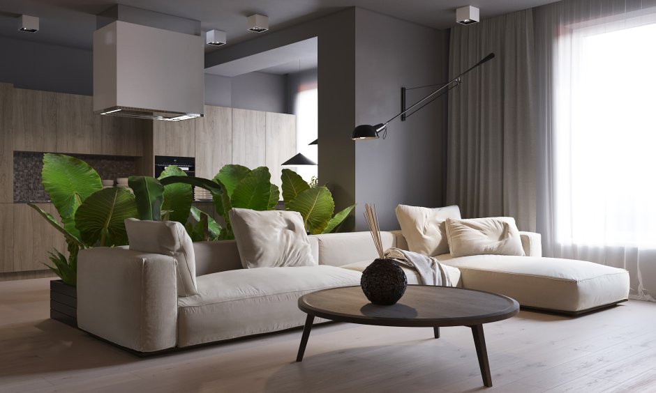 Гостиная в серых тонах Минимализм