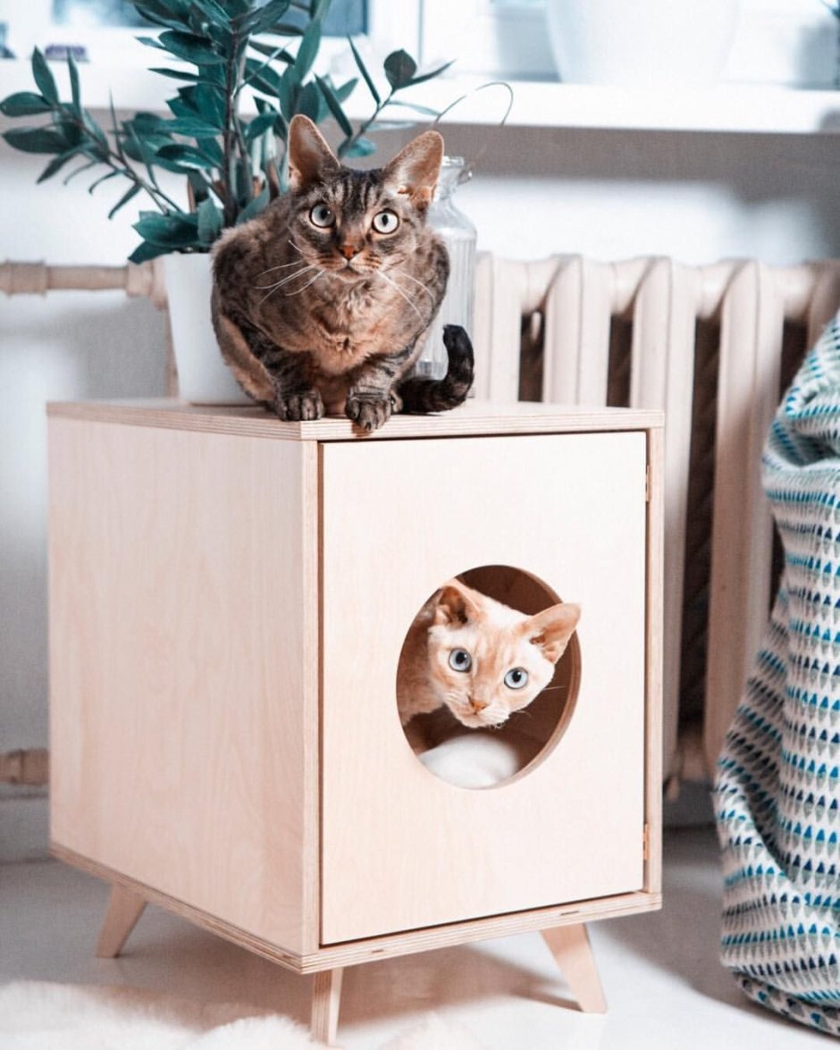 Домик для кошки в интерьере