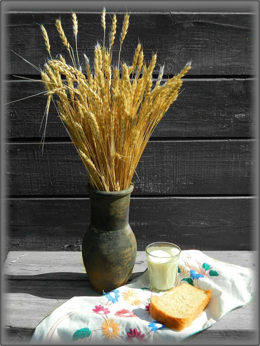 Сухоцвет пшеницы 1 колосок