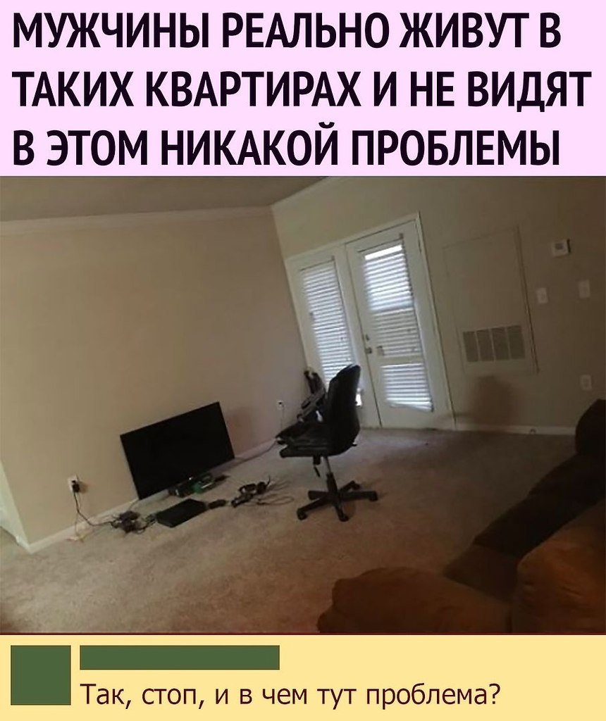 Кошка в квартире