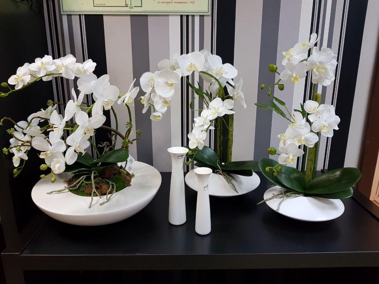 Орхидеи В Интерьере Квартиры