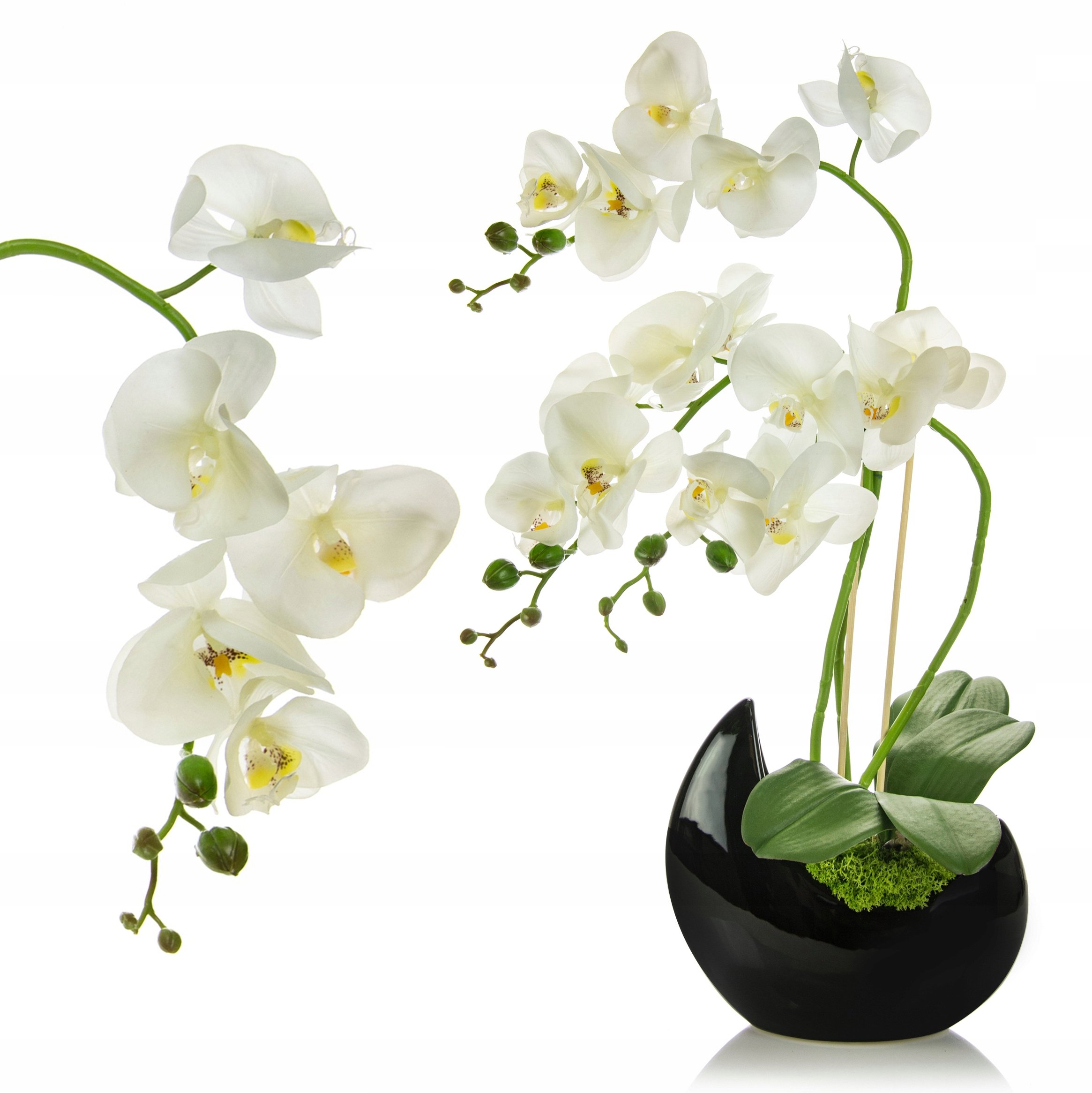 Купить цветы орхидеи в горшке. Орхидея фаленопсис белая в горшке. Орхидея фаленопсис силиконовая. Фаленопсис белый в горшке. Фаленопсис van Geel.